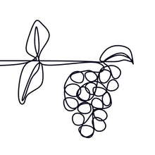 Laden Sie das Bild in den Galerie-Viewer, Vin Vin - Wine Club freeshipping - Vin Vin