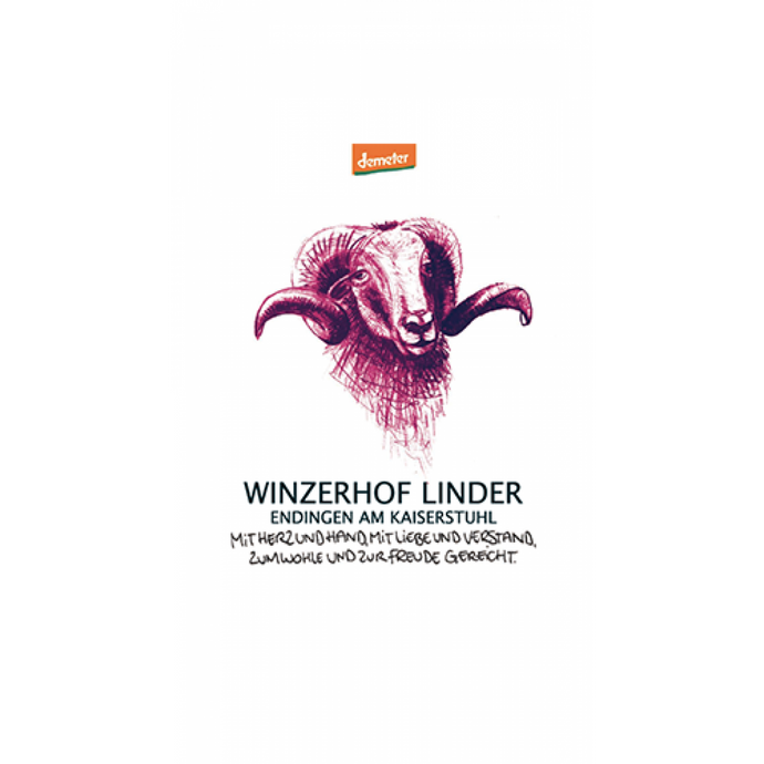 Winzerhof Linder - Blanc de Noirs 63 Brut freeshipping - Vin Vin