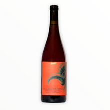 Laden Sie das Bild in den Galerie-Viewer, - BEST OF - Winzerhof Linder freeshipping - Vin Vin
