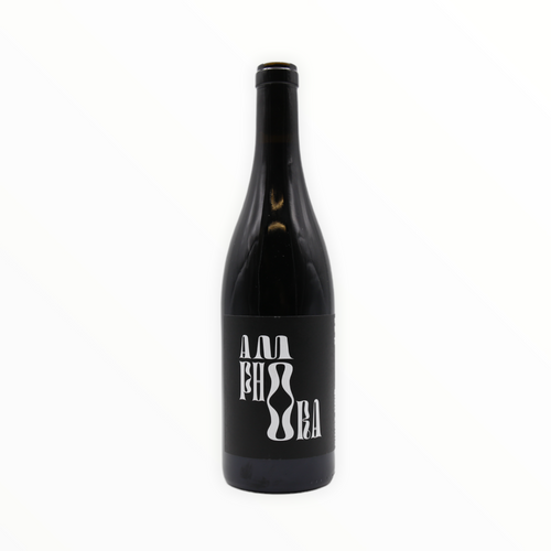 Andi Weigand - Amphora Pinot Noir 2021