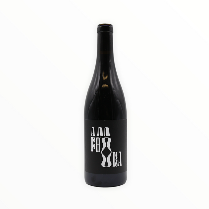 zAndi Weigand - Amphora Pinot Noir 2021