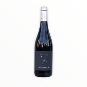 Ismael Gozalo | MicroBio Wines - Sietejuntos Tempranillo freeshipping - Vin Vin